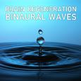 14 Brain Regeneration Binaural Waves