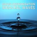 14 Brain Regeneration Binaural Waves专辑