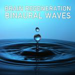 14 Brain Regeneration Binaural Waves专辑