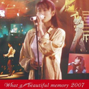 ZARD What a beautiful memory 2007