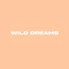 Thaibeats - Wild Dreams