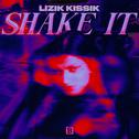 SHAKE IT专辑