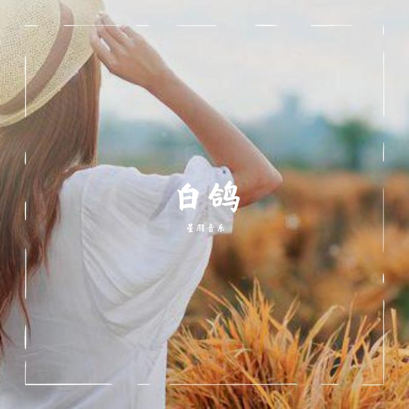 白鸽