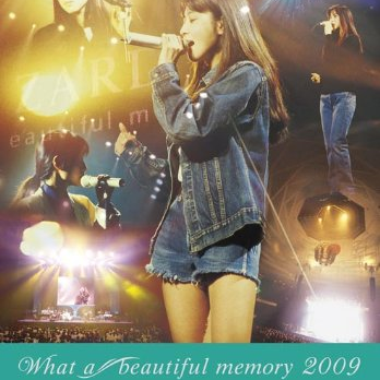 ZARD What a beautiful memory 2009专辑