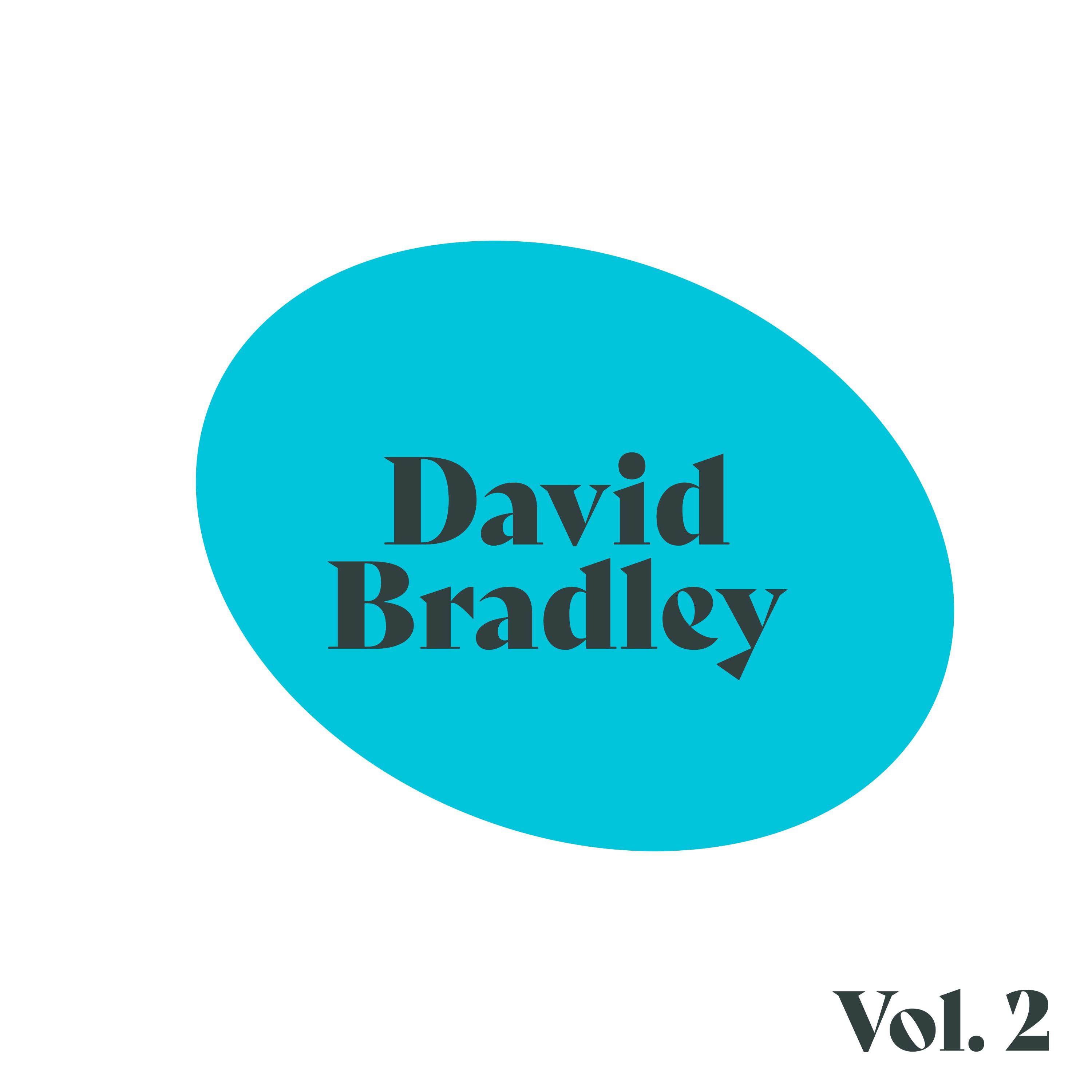 David Bradley - The Gate