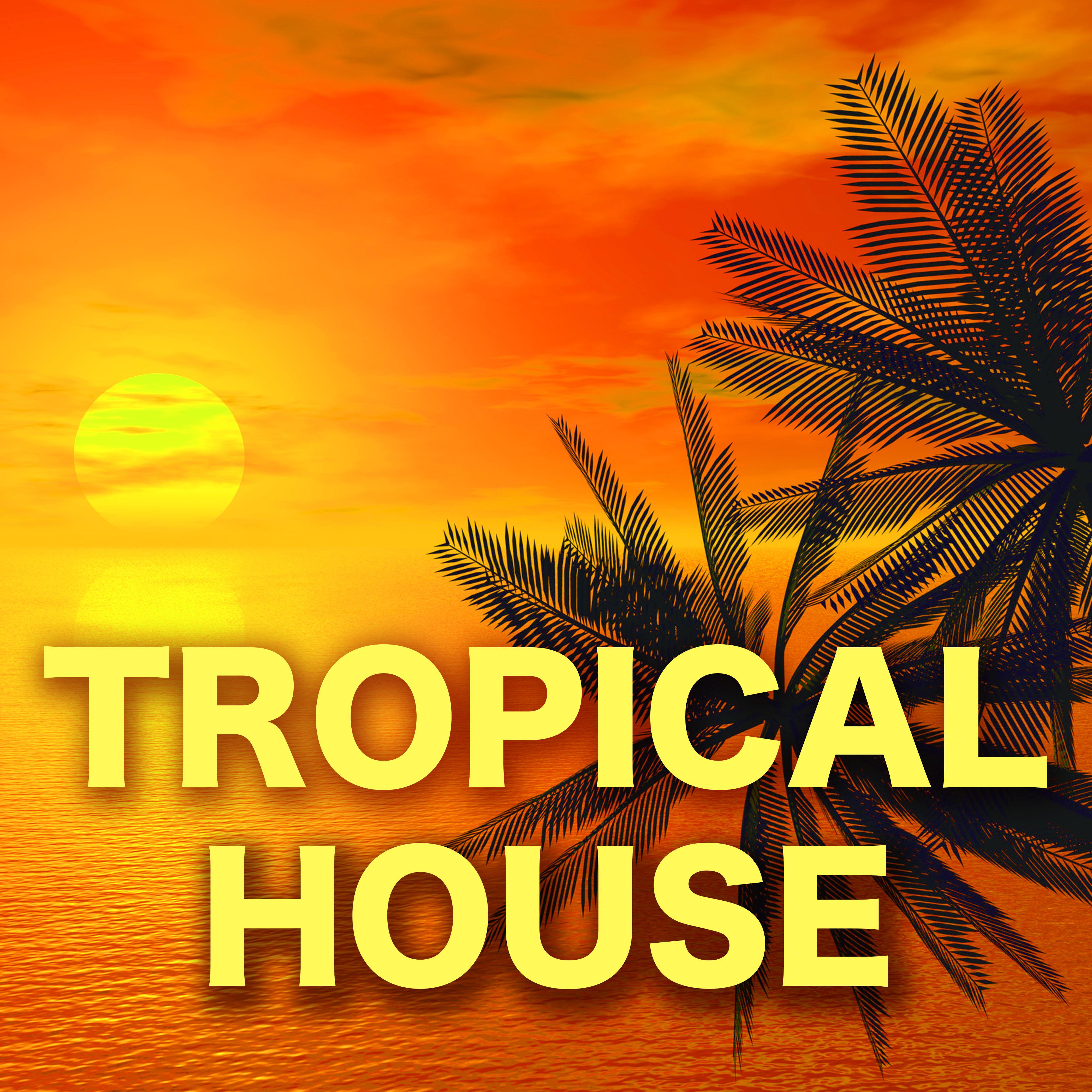 tropical house代表作图片