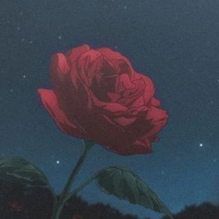 你搜不到的宝藏系列