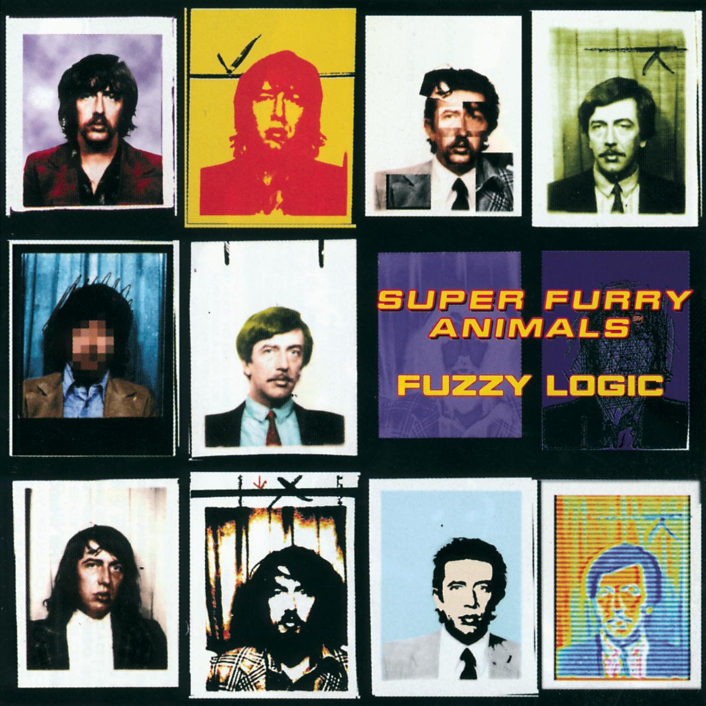 Fuzzy Logic