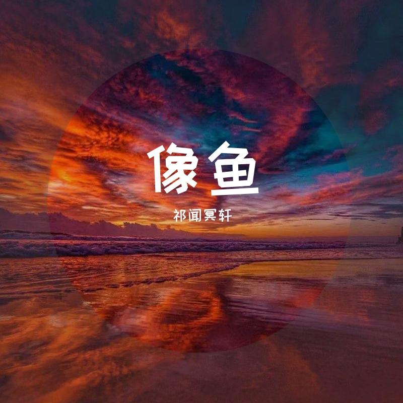像鱼