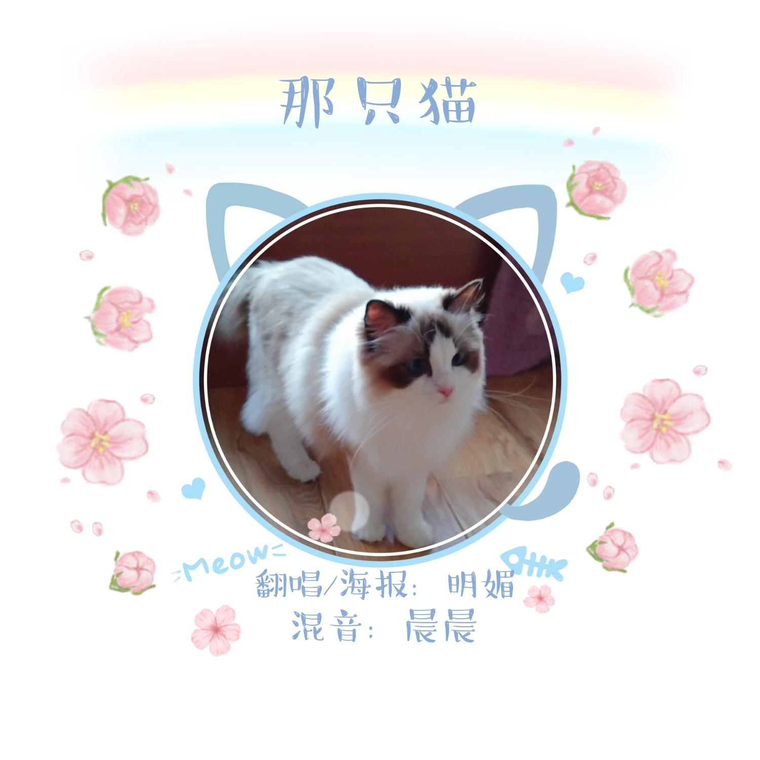 那只猫专辑