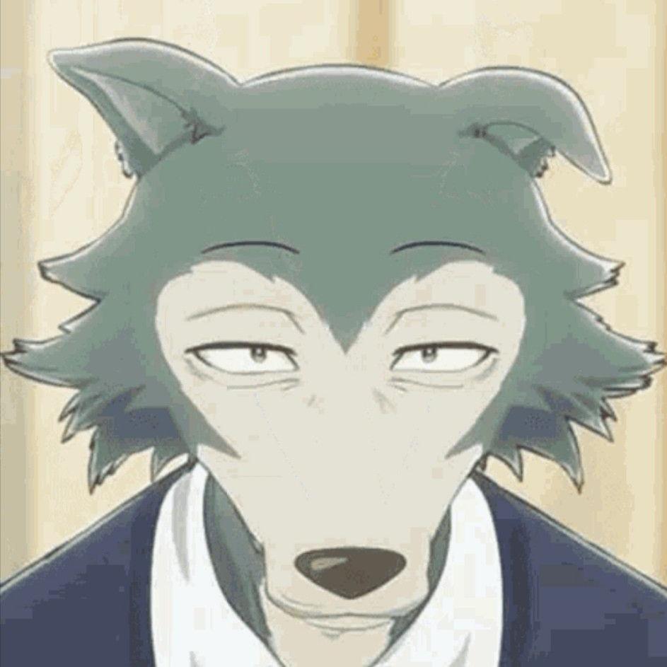 Beastars/动物狂想曲