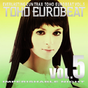 Toho Eurobeat Vol. 5