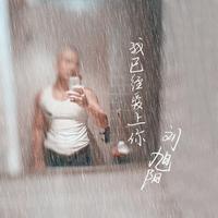 刘旭阳 - 我已经爱上你(原版立体声伴奏)