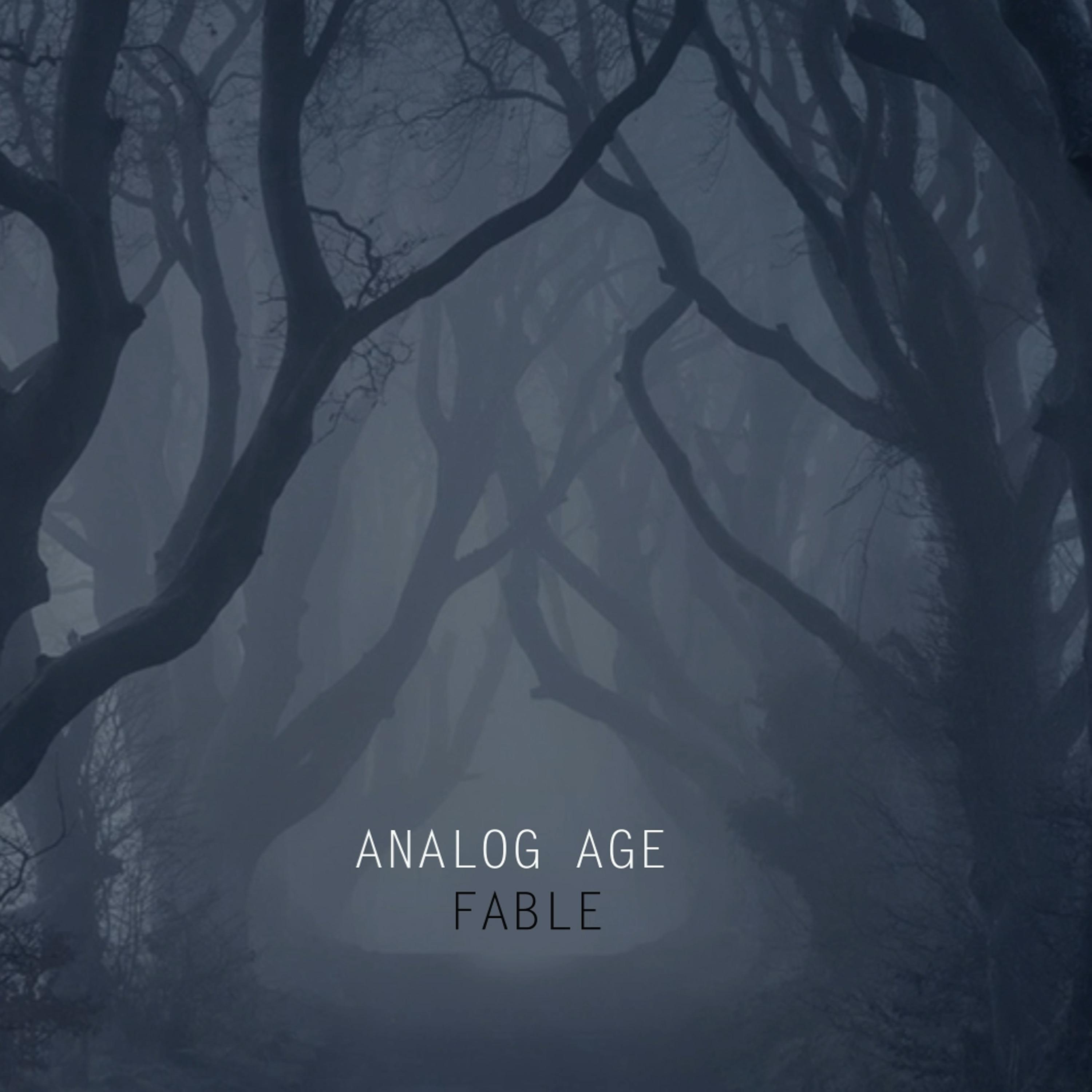 Analog Age - Fable (Radio Edit)