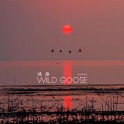 Wild Goose （Radio Edit）