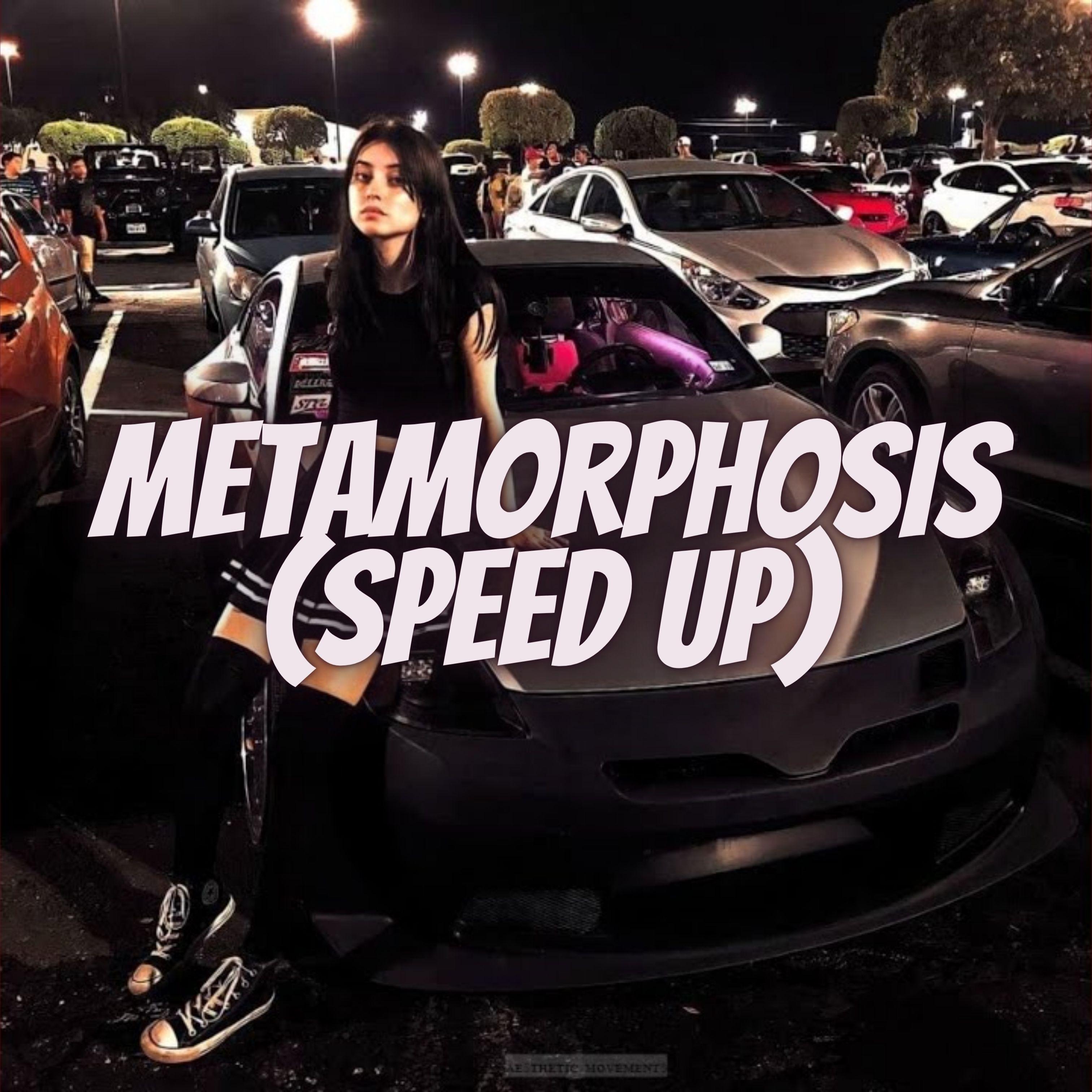 Metamorphosis (Speed Up)
