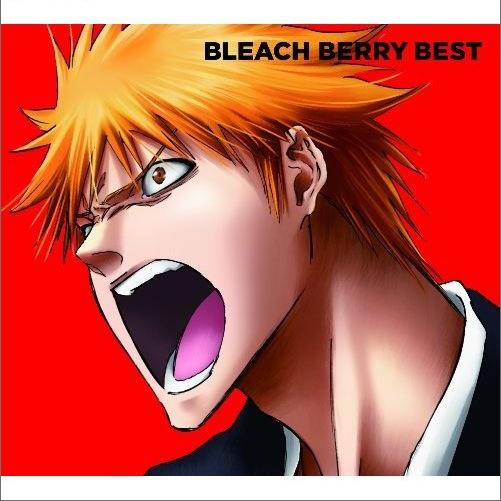 BLEACH BERRY BEST专辑