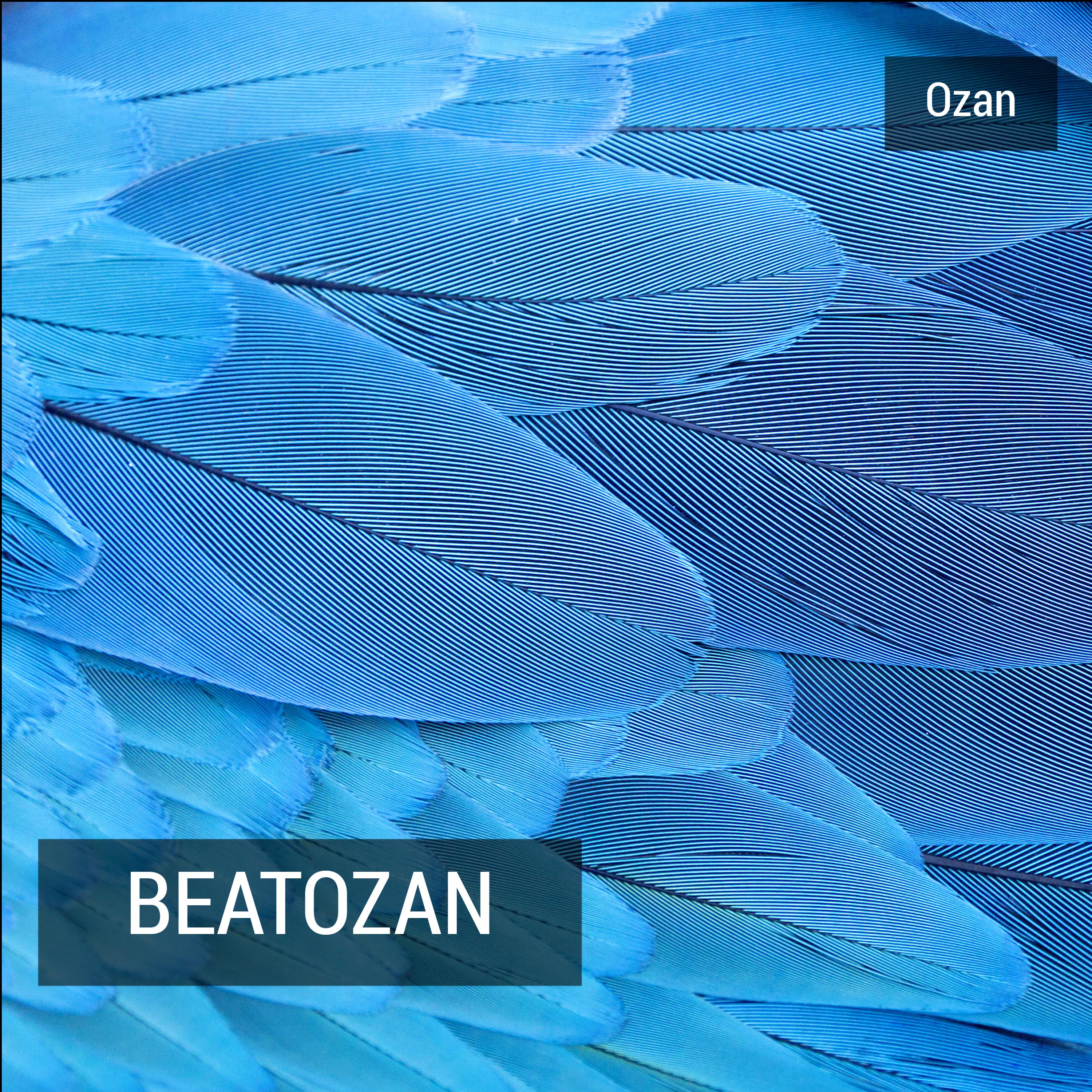 Beatozan专辑