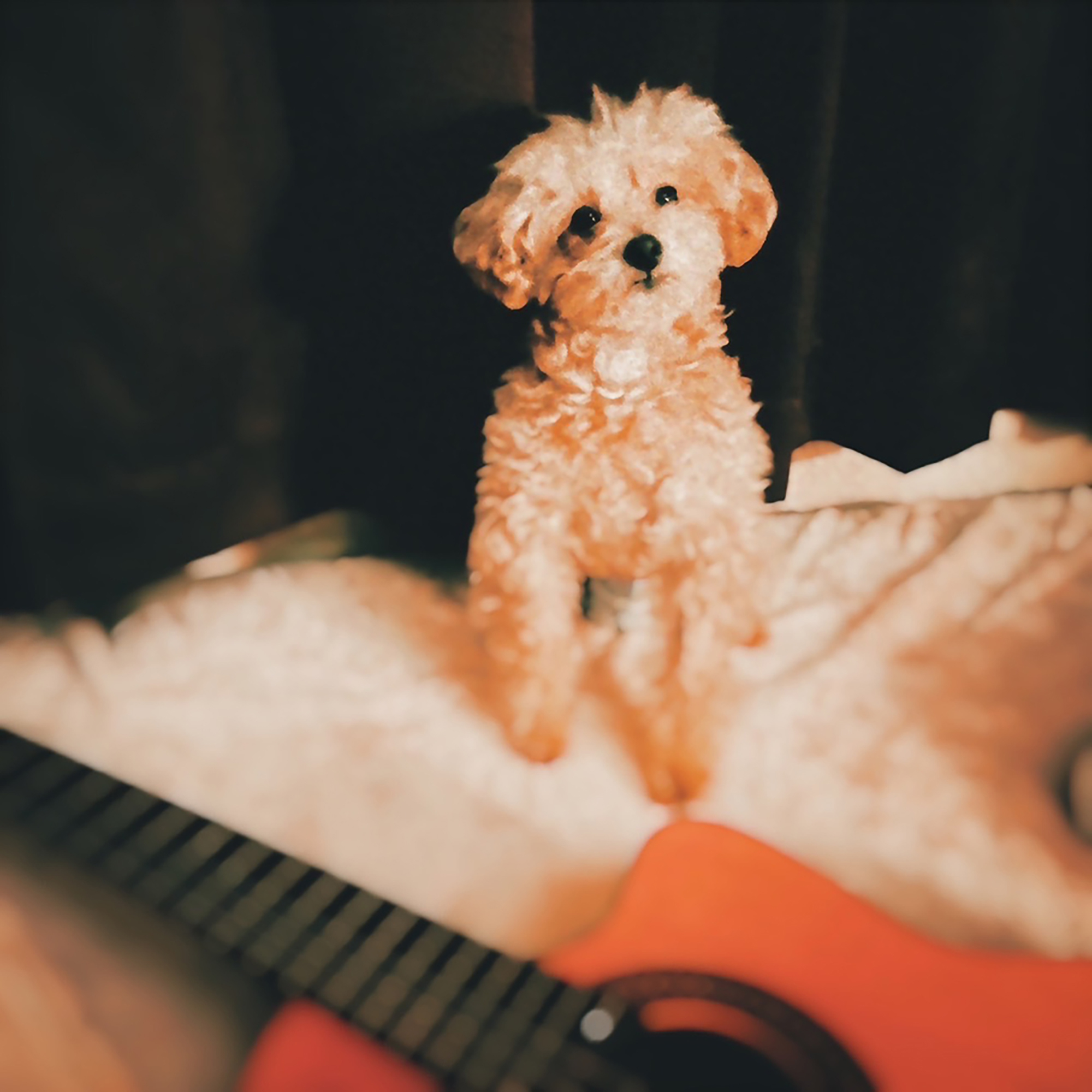my life (Sing for you ver.)