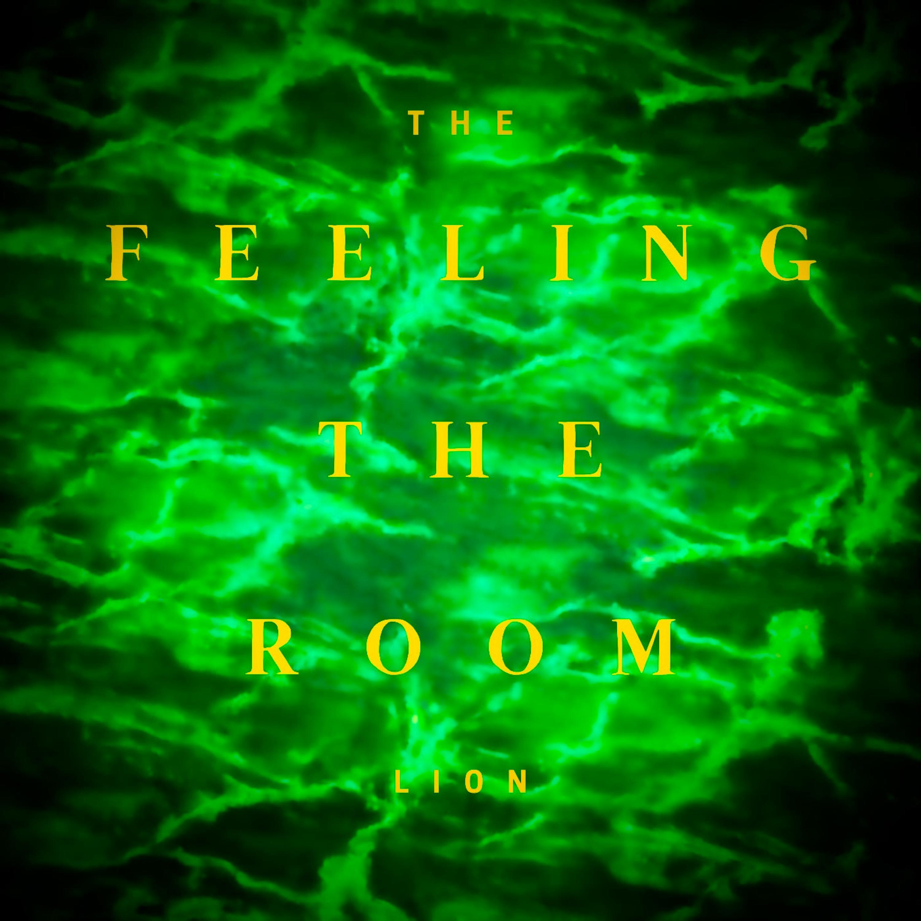 Feeling The Room