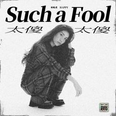 太傻太傻Such a Fool