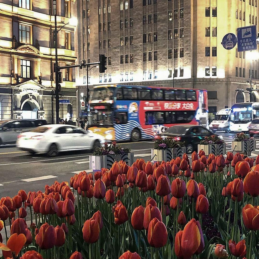 16G （PROD BY GOAT MUSIC）