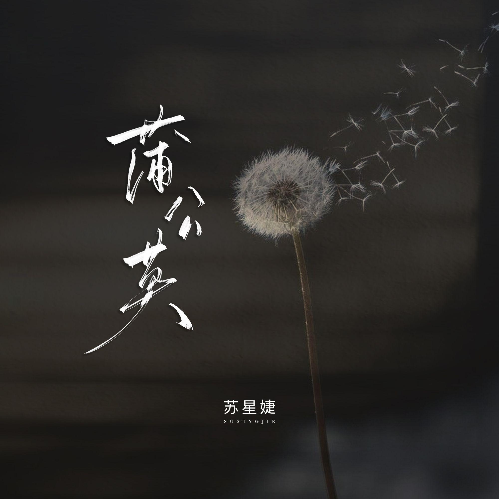 蒲公英