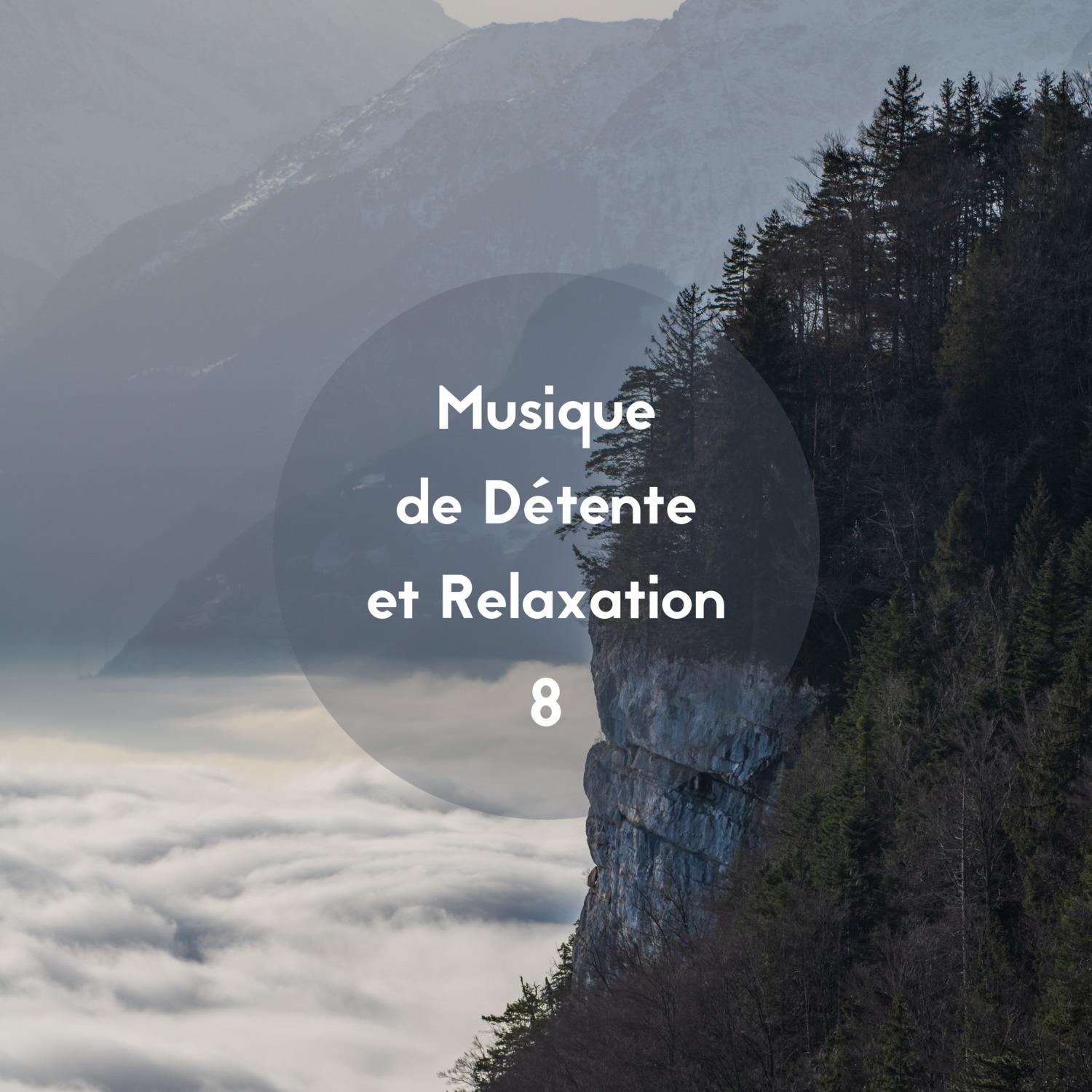Musique de détente et relaxation, Vol. 8