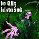 Bone Chilling Halloween Sounds专辑