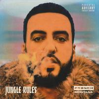 French Montana - A Lie (Instrumental) 无和声伴奏