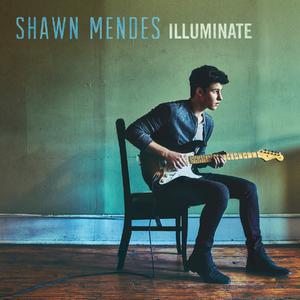 Don't Be a Fool - Shawn Mendes (unofficial Instrumental) 无和声伴奏 （降1半音）