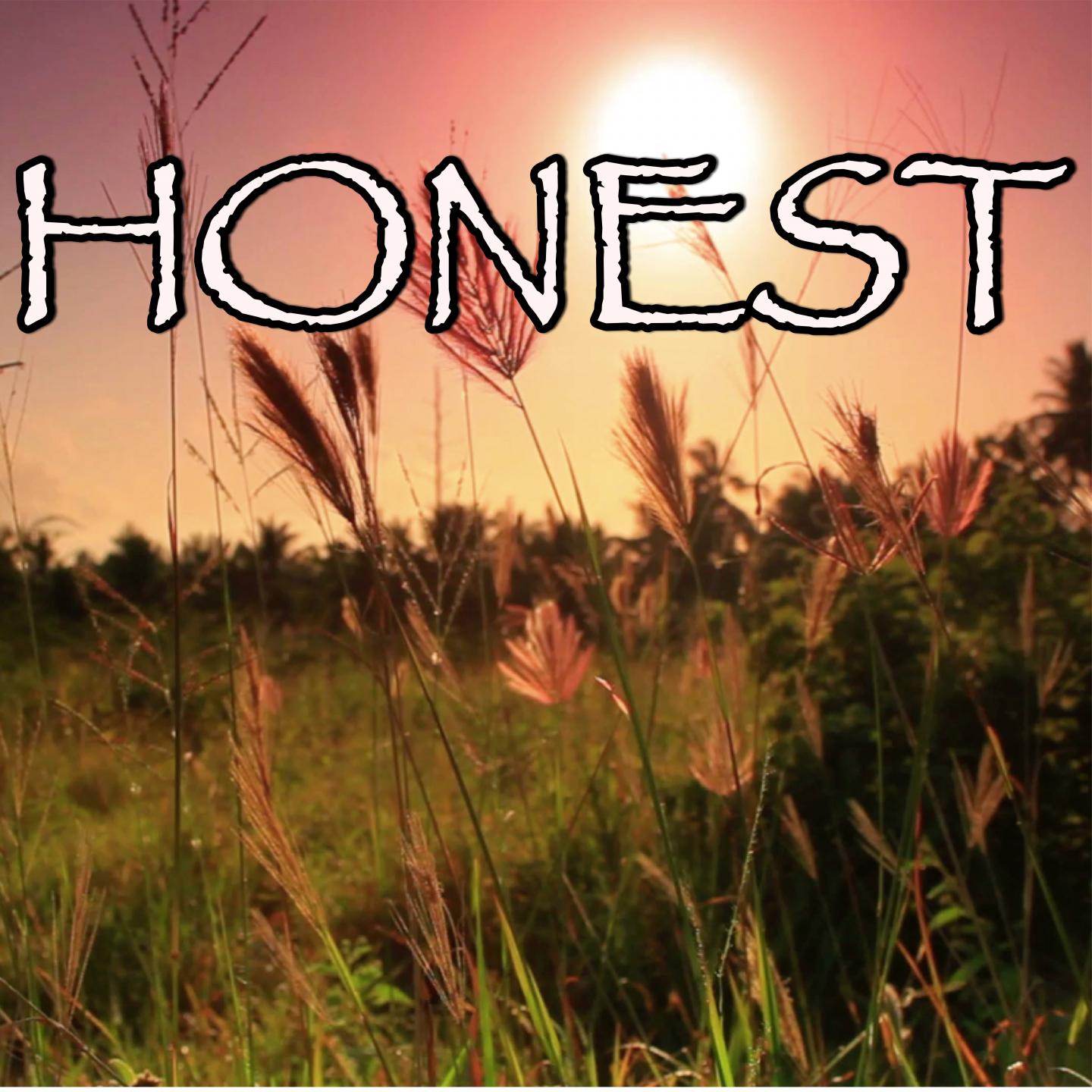 Honest - Tribute to The Chainsmokers专辑