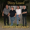 Dizzy Lizard - Never Run Away (Demo)