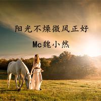 Mc魏小然 - 阳光不燥微风正好 (伴奏)