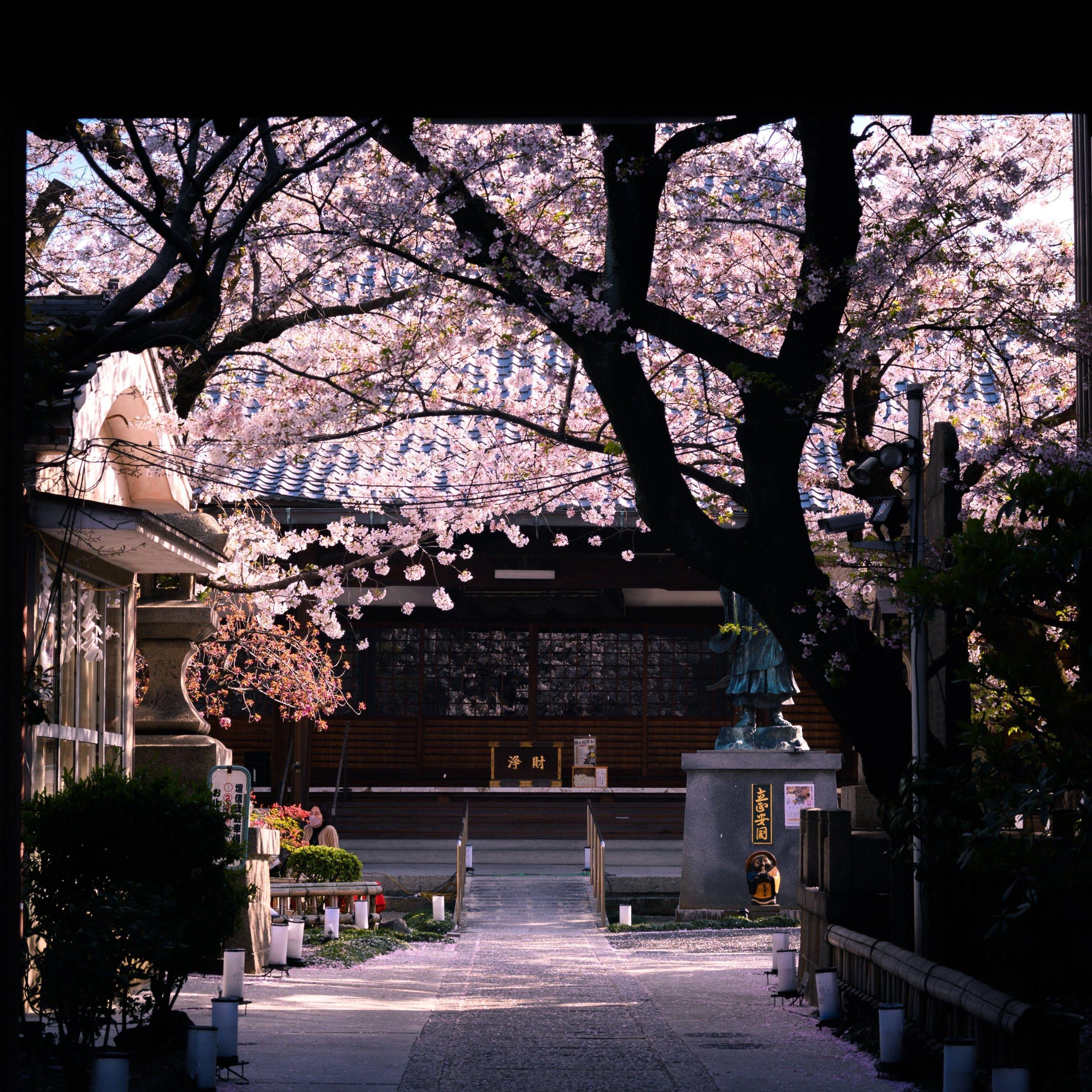 幽月夙愿 ～ Forgotten Vow