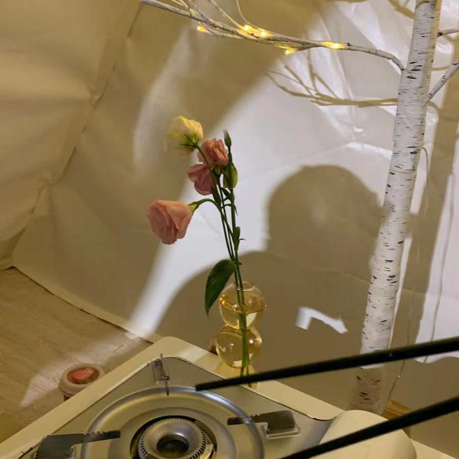 等爱的玫瑰 (翻奏: 凤凰传奇)