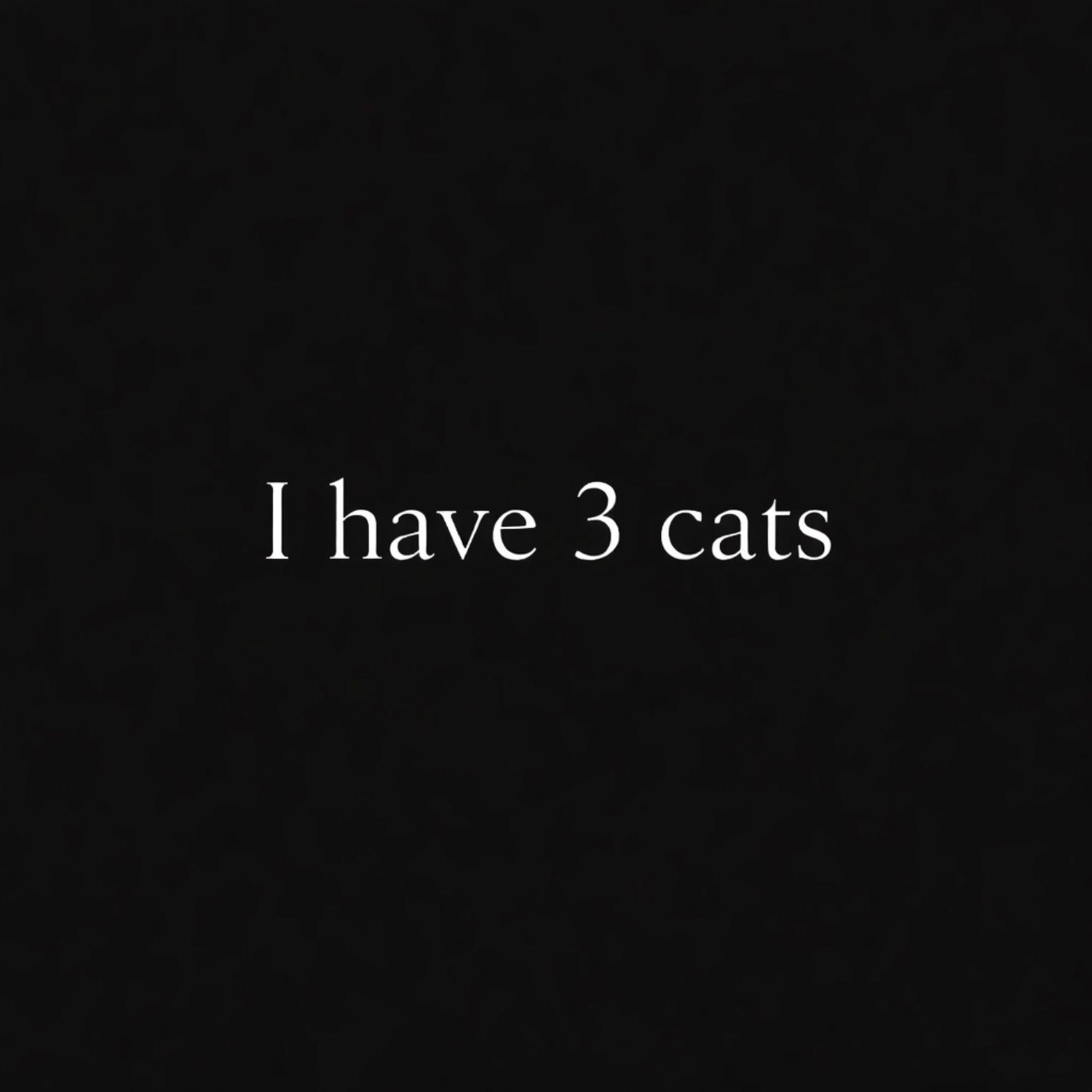 I Have 3 Cats