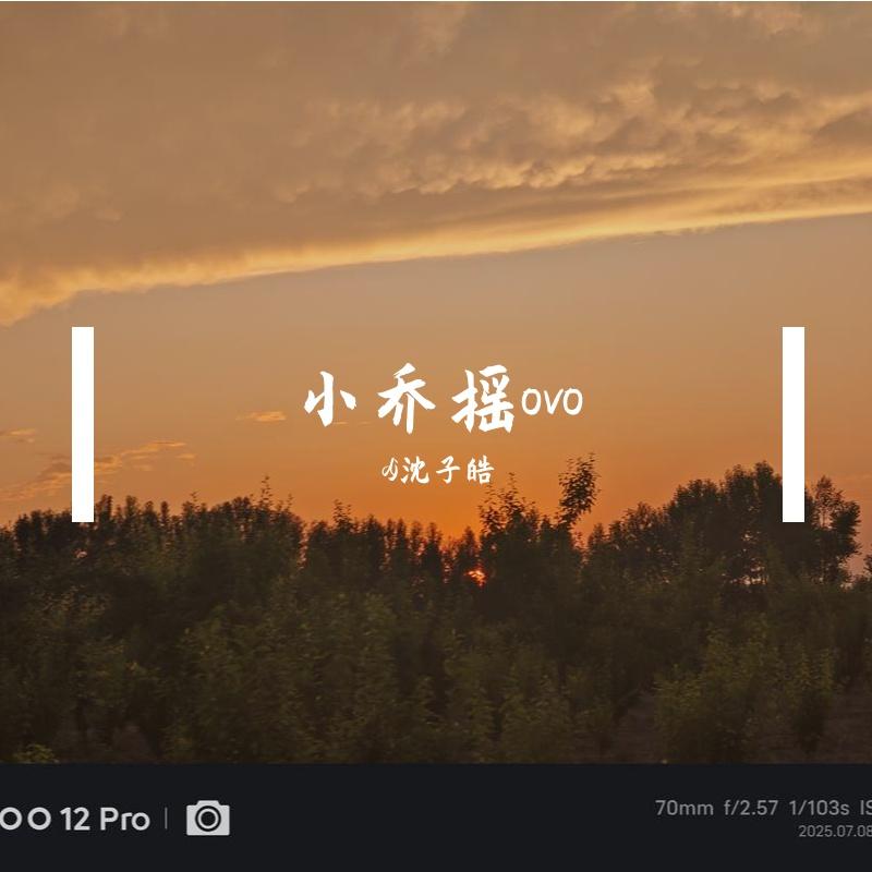 小乔摇ovo