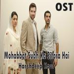 Mohabbat Subh Ka Sitara Hai (From "Mohabbat Subh Ka Sitara Hai")专辑