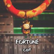 FORTUNE cat