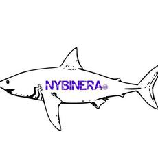 49NybinEra