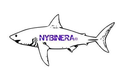 49NybinEra