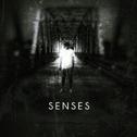 Senses专辑