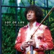 Joy Of Life