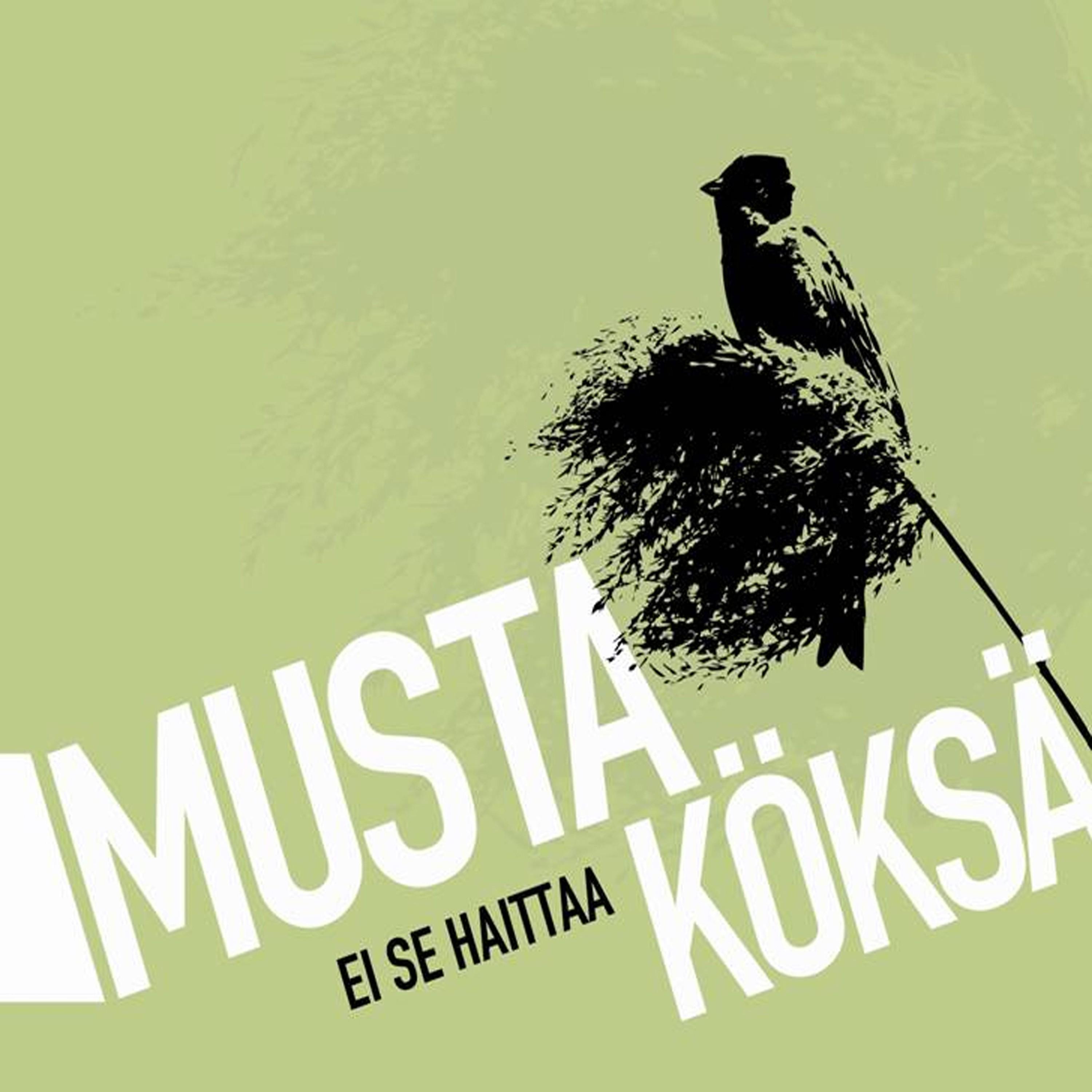 Ei se haittaa
