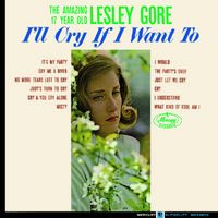 It's My Party - Lesley Gore (unofficial Instrumental) (1)