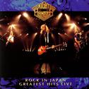 Rock In Japan: Greatest Hits Live专辑