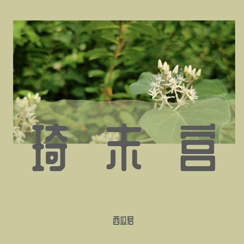 后来（自嗨版）