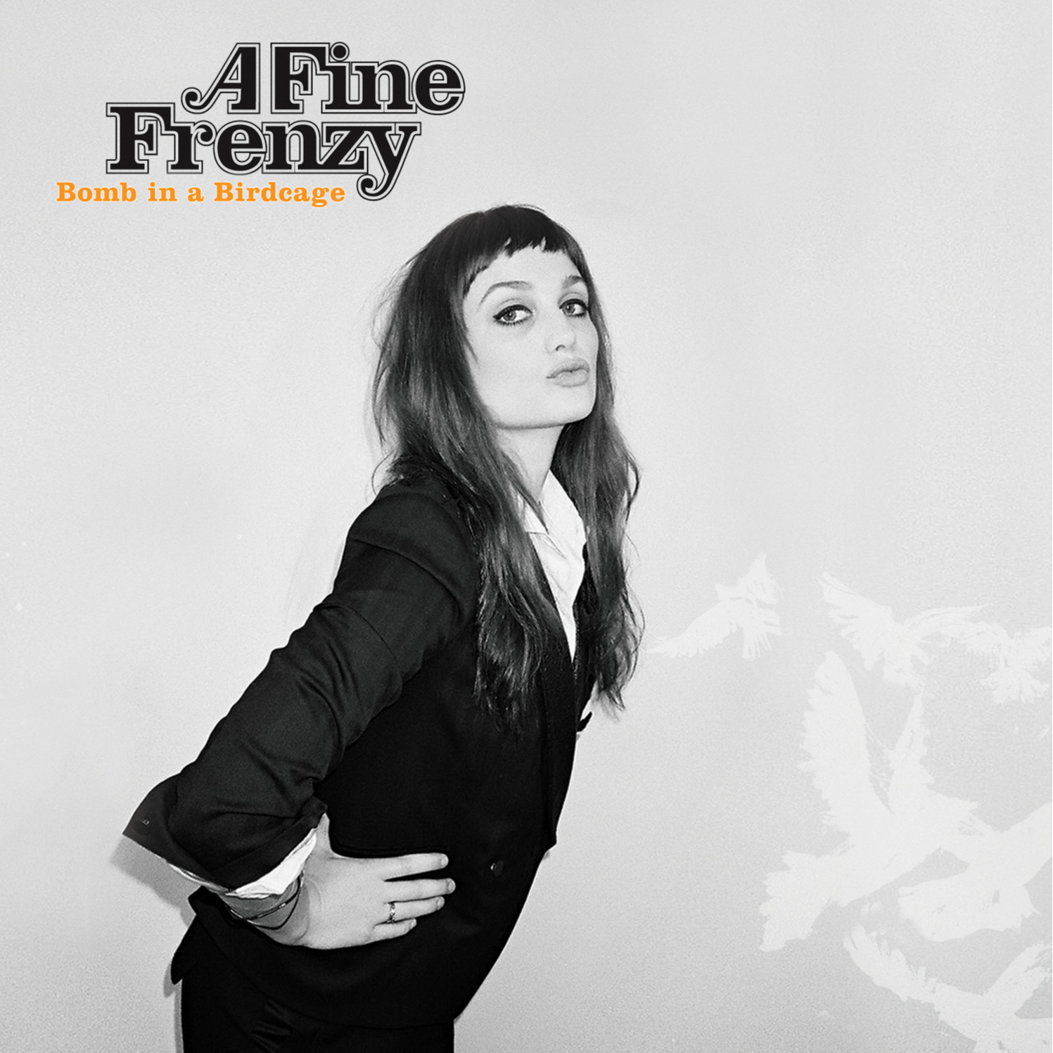 A Fine Frenzy - Blow Away