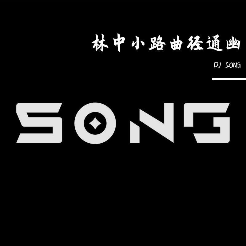 DJ SONG - 林中小路曲径通幽